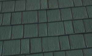 Evergreen KasselWood Evergreen