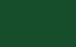 Evergreen Evergreen