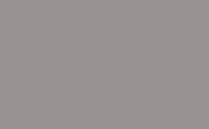 Slate Gray Slate Gray