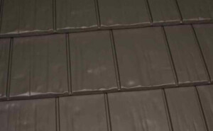 Shake Gray KasselShake Shake Gray