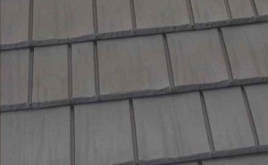 Beech KasselShake Beech