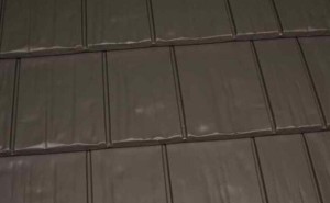 Shake Gray KasselShake Shake Gray