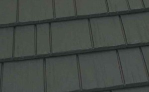 Spruce KasselShake Spruce